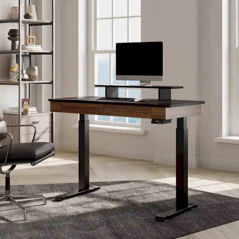 Ergonomic Home Office Electric Height Adjustable Standing Desk with 2 Drawers & Monitor Stand