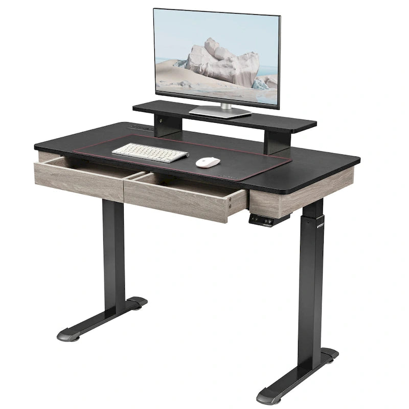 Ergonomic Home Office Electric Height Adjustable Standing Desk with 2 Drawers & Monitor Stand