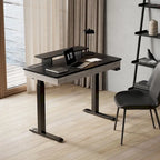 Ergonomic Home Office Electric Height Adjustable Standing Desk with 2 Drawers & Monitor Stand