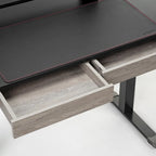 Ergonomic Home Office Electric Height Adjustable Standing Desk with 2 Drawers & Monitor Stand