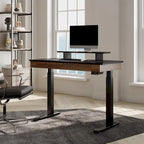 Ergonomic Home Office Electric Height Adjustable Standing Desk with 2 Drawers & Monitor Stand