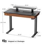 Ergonomic Home Office Electric Height Adjustable Standing Desk with 2 Drawers & Monitor Stand