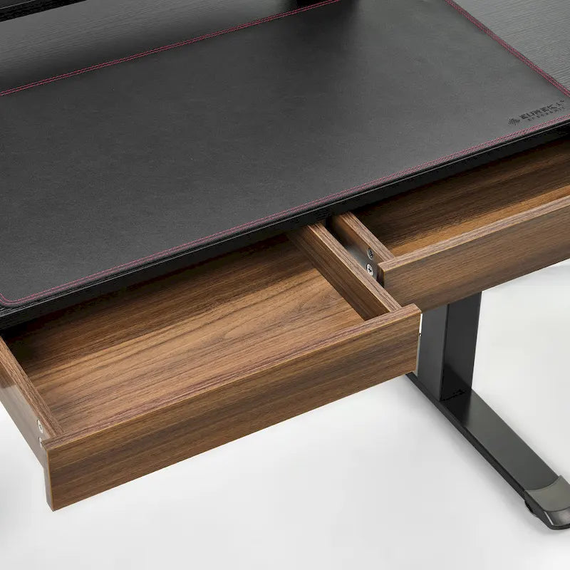 Ergonomic Home Office Electric Height Adjustable Standing Desk with 2 Drawers & Monitor Stand