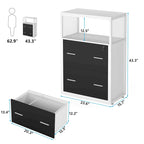 Walnut Black 2-Drawer Lateral File Cabinet with Open Shelves