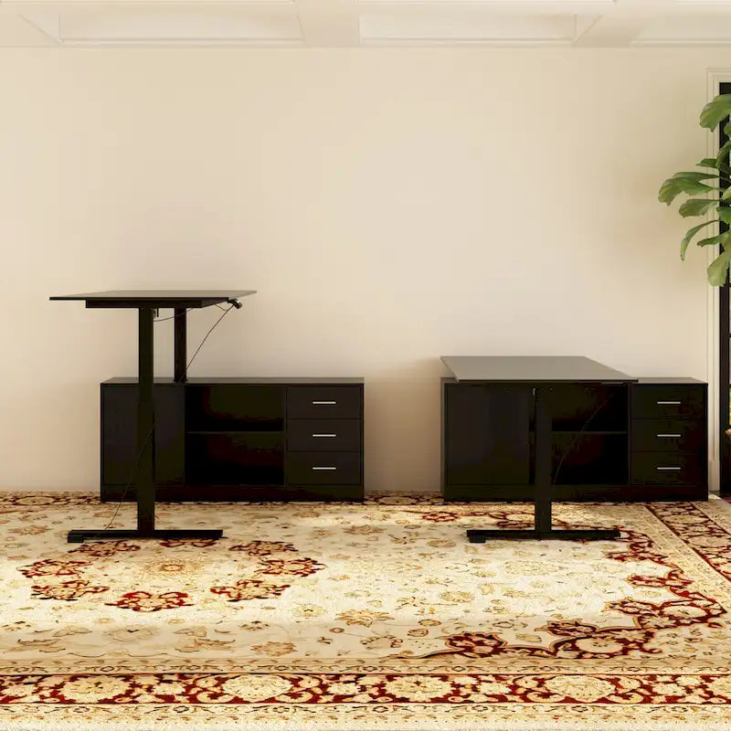 Super-Sized Standing Desk with Electric Lift - 63 x31.5 PC Desktop