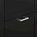 Black Shoe Cabinet with 3 Flip Drawers - 15 Pair Capacity