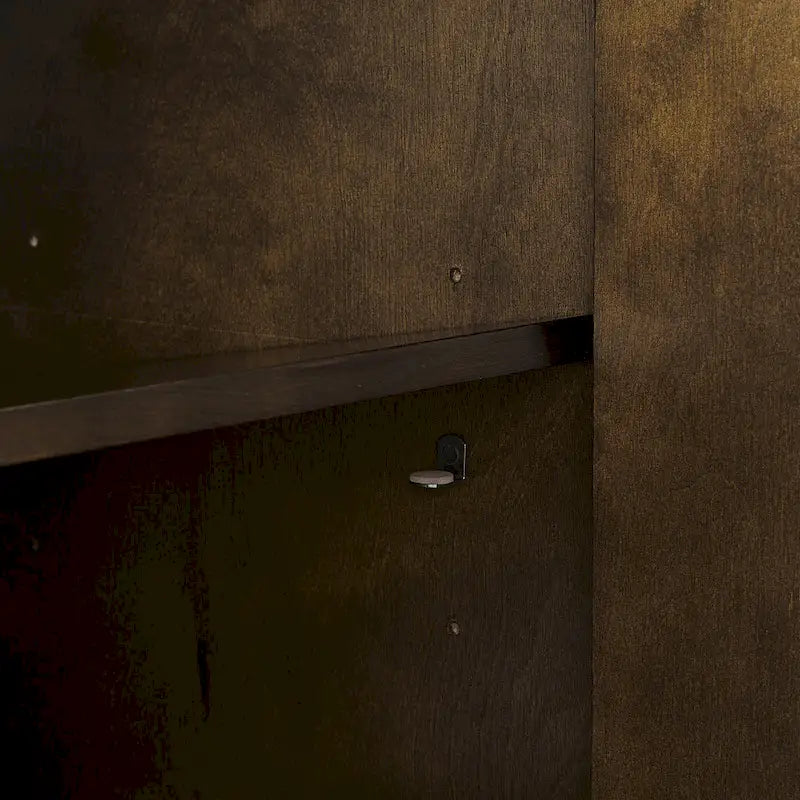 Dark Brown Sideboard with Gold Legs - 2 Cabinet Storage